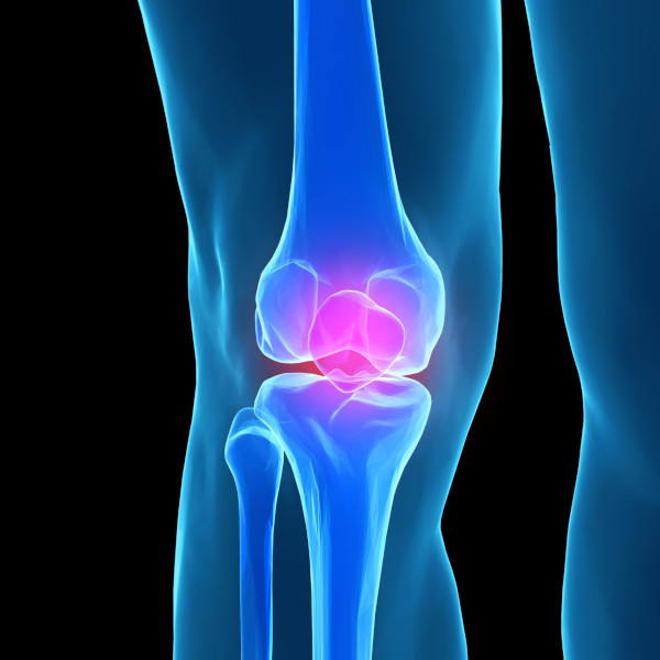 Stemwave Therapy offered at WOW Family Chiropractic in Colorado Springs Stemwave Therapy offered at WOW Family Chiropractic in Colorado Springs